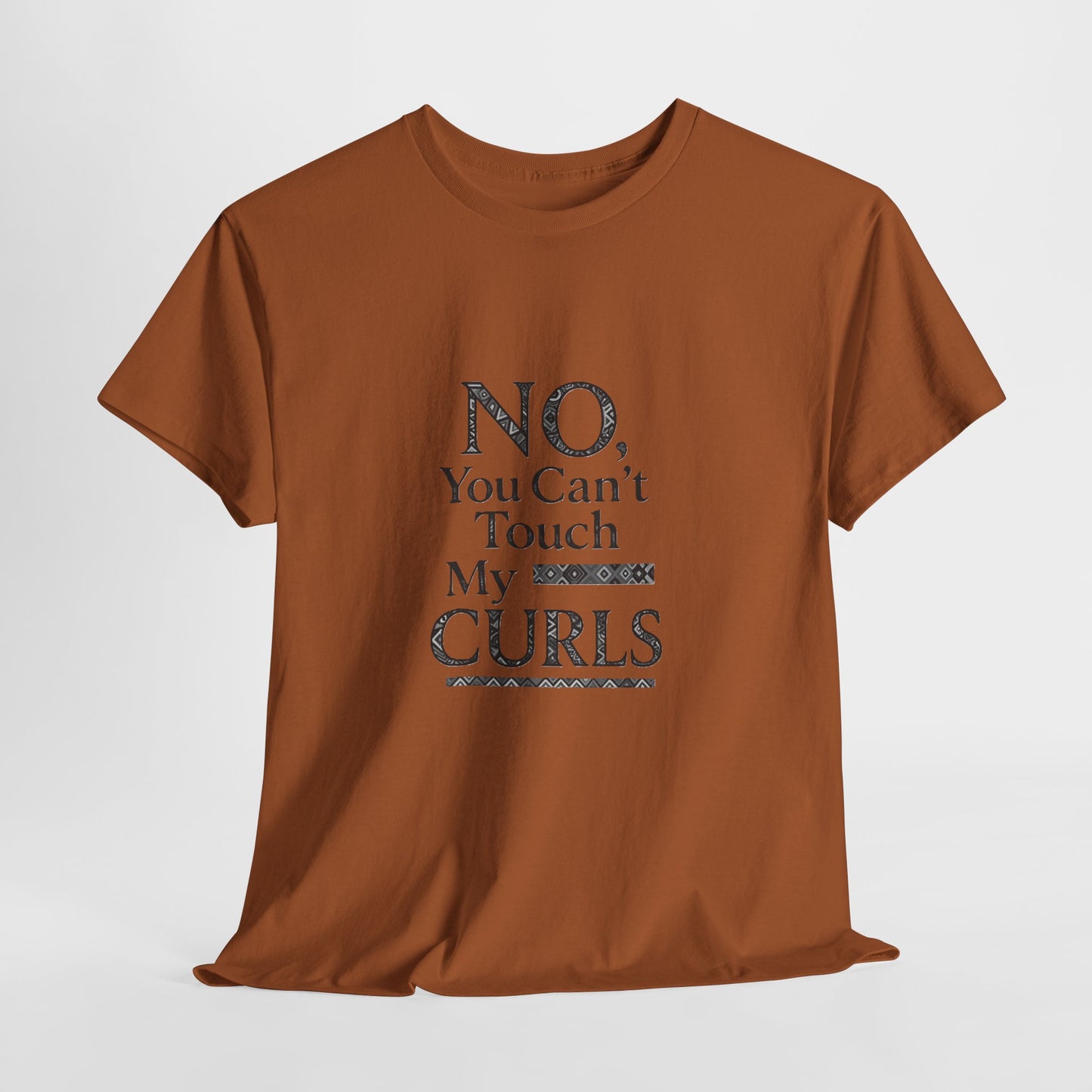 NO, You Can't Touch My Curls Casual Wear Gift for Locs Lovers Afro Hair Black American African Girl T-shirt